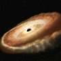 Ejected Supermassive Black Holes: ELTE Quasar Survey Backs Decade-Old Cosmology Prediction