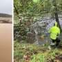 Tire-Derived Pollutant 6PPD-Quinone Found at Lethal Levels in Critical Salmon Habitats, Researchers Report
