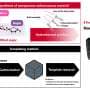 Breakthrough in Materials Science: Chemically Modified Sugars Unlock Direct Nanostructure Fabrication