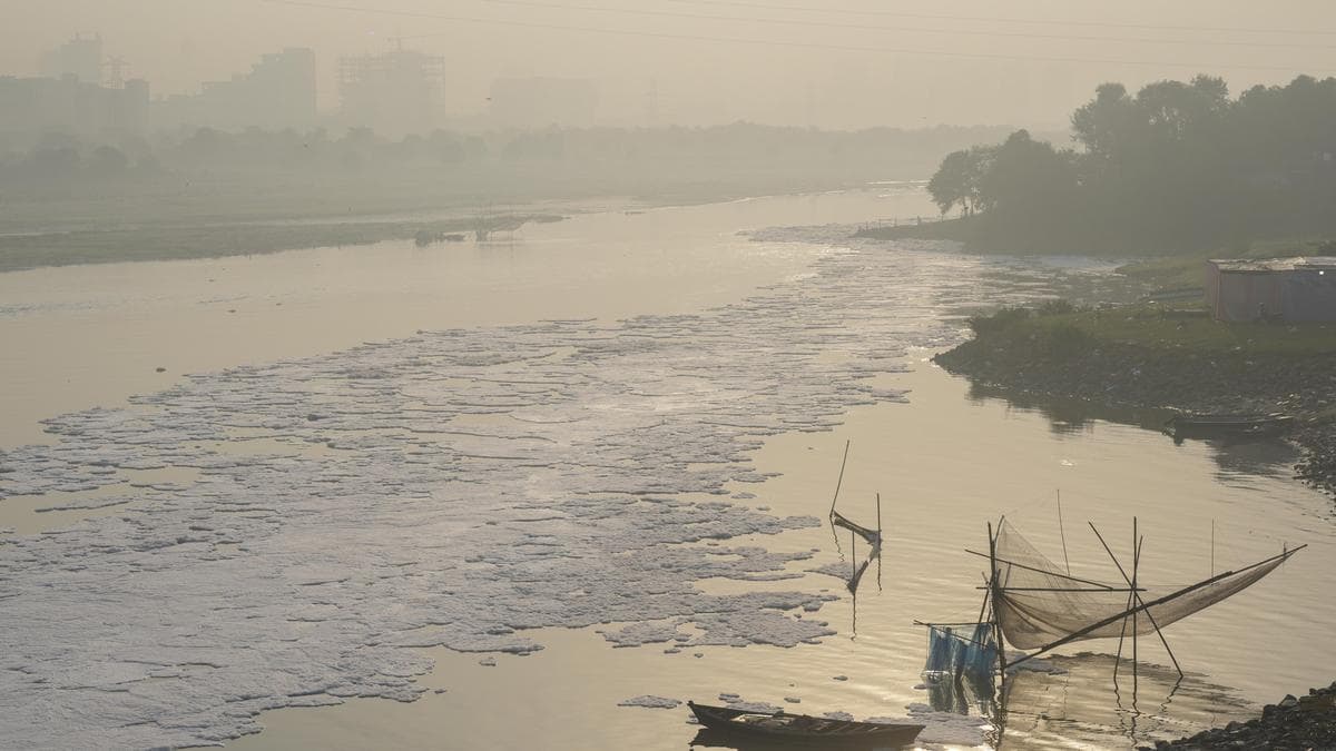 Delhi Breathes Easier as Capital's Air Quality Shifts from Poor to Moderate
