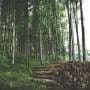 Habitat Outpaces Climate in Shaping Finnish Wildlife Distributions, New University of Helsinki Study Shows