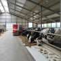 Novel Microbial Additives Offer Breakthrough Solution for Dairy Farm Emissions