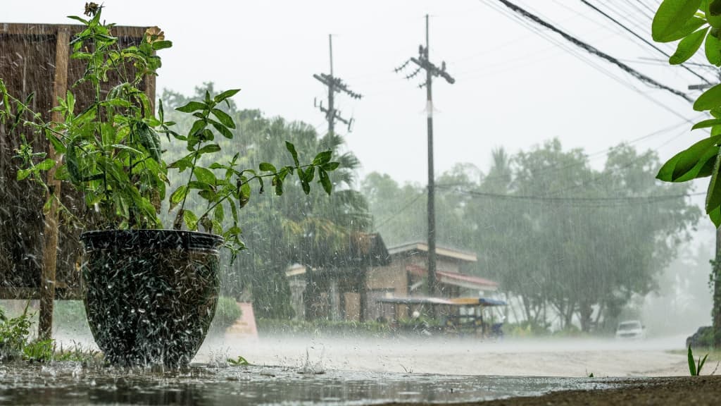 Climate Shift: Northeast India and Bengal Exit Tropical Zone, IMD Study Reveals