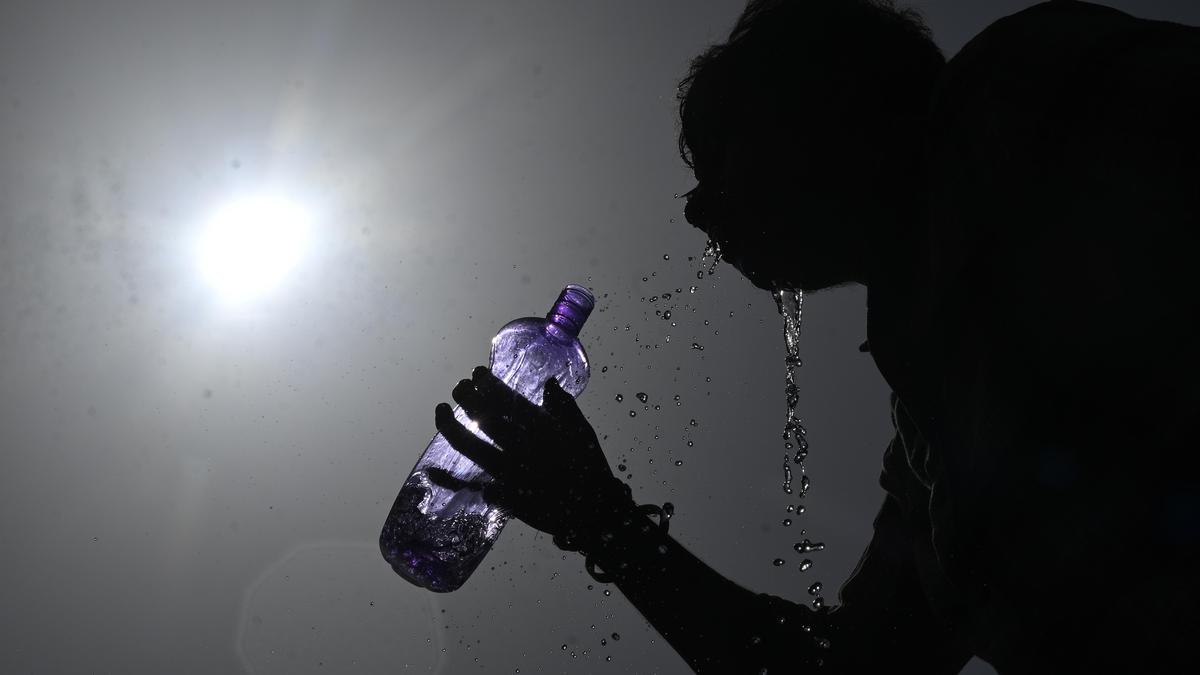 India among top countries with highest heatwave exposure for infants, older adults: Report