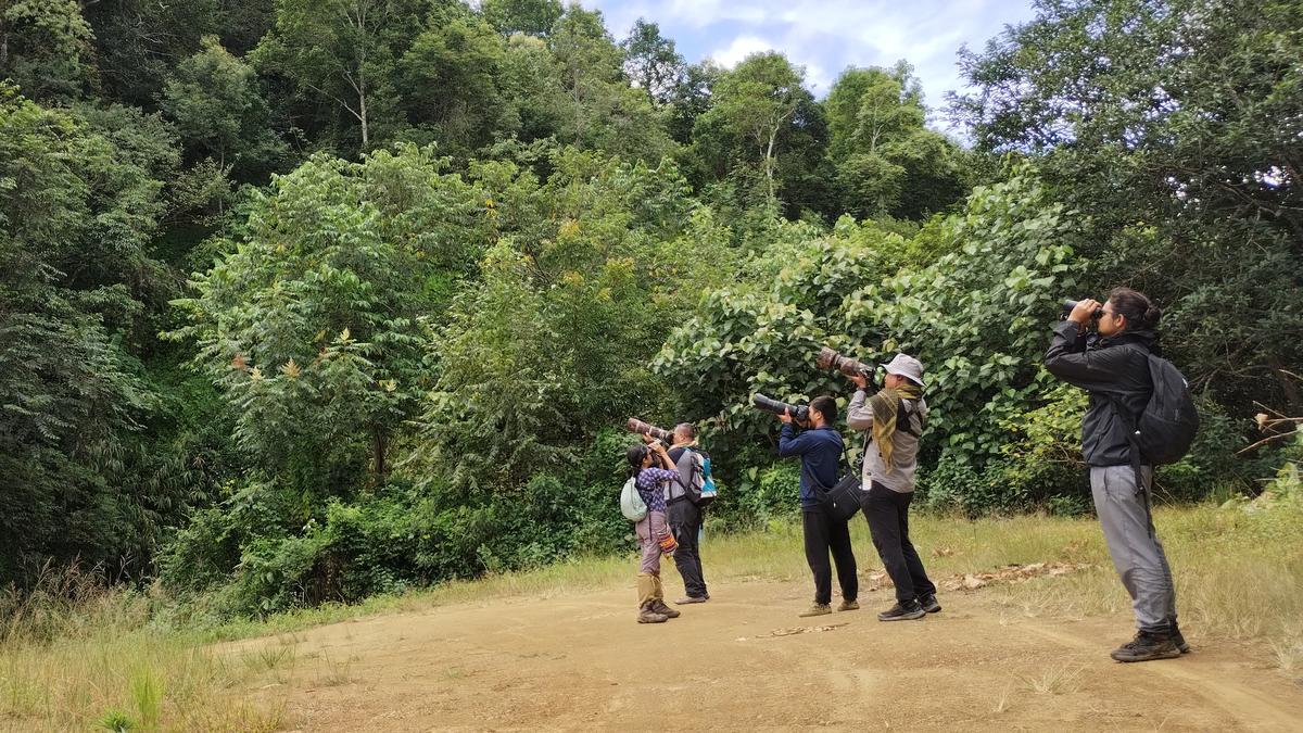 Karnataka Launches Inaugural Rajyotsava Bird Count to Bolster Avian Conservation