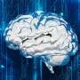 Marine molecule may help combat 'brain-eating' amoeba
