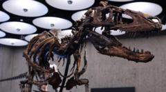 Nanotyrannus skeleton goes to auction in New York with £4.5m price tag