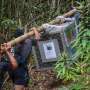 Indonesian Conservationists Release Rescued Orangutans Into Protected Bornean Canopy