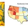 New Botanical Research Reveals Climate Vulnerability in US Plants is Strictly Regional