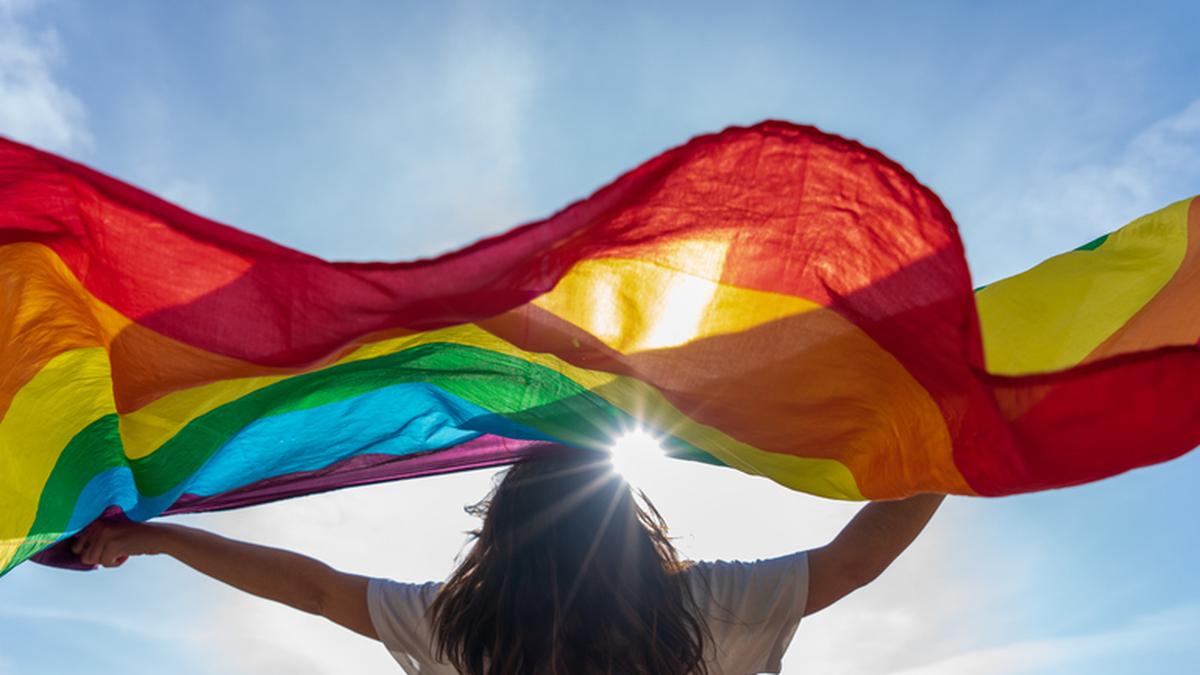 Challenging the Transgender Persons Act: Legal Battle Erupts Over Women's Rights and Statutory Impact in India