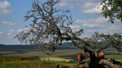 Wildlife appeal closes in on £30m target